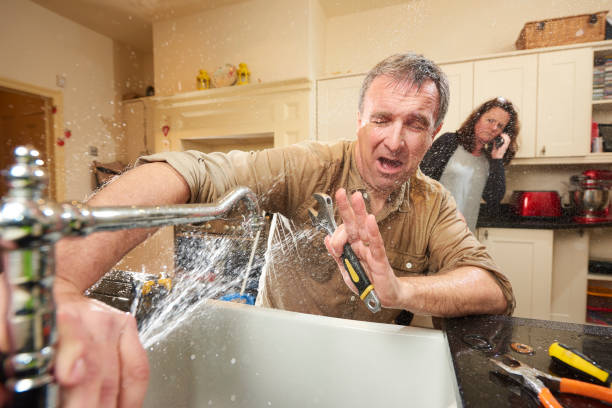 Best Water damage cleanup near me  in Rafter J Ranch, WY